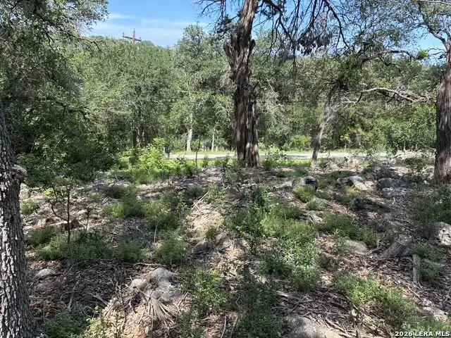 3020 Tanglewood Trl, Spring Branch, TX 78070 - #2
