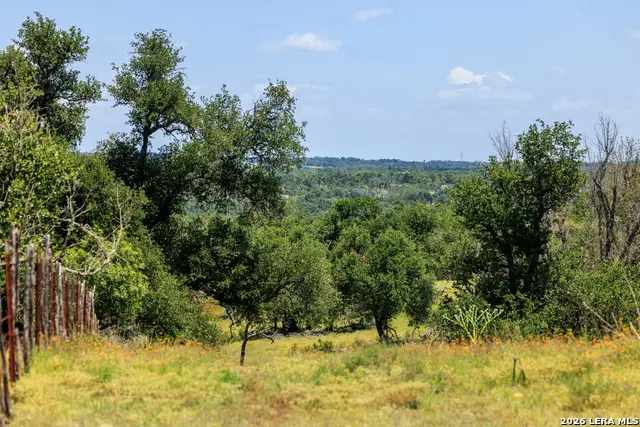 2656 Meier Road, Fredericksburg, TX 78624 - #3