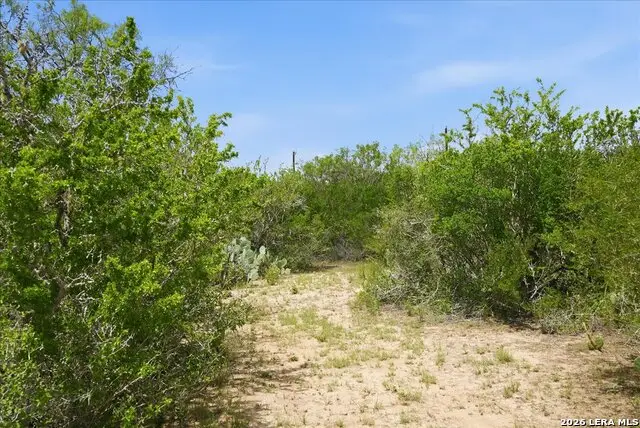 130 Choke Canyon Ests, Three Rivers, TX 78071 - #2