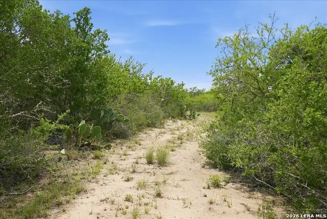 130 Choke Canyon Ests, Three Rivers, TX 78071 - #3