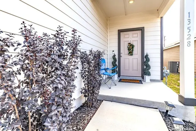 13528 Lunar Lgt, Saint Hedwig, TX 78152 - #3