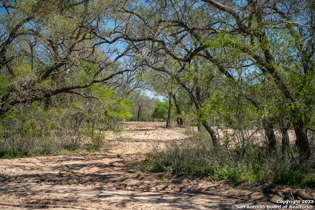 2703 County Road 770, Natalia, TX 78059 - #2