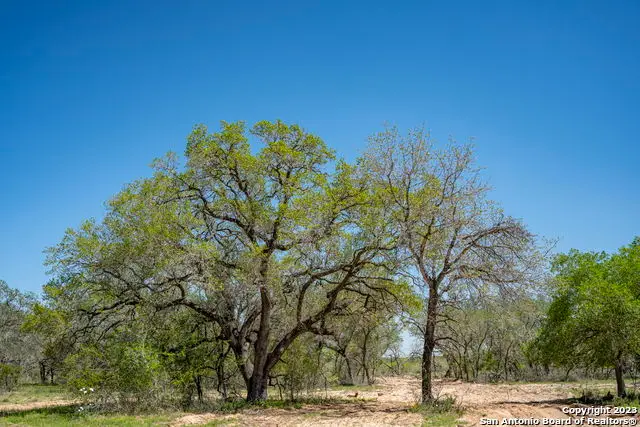 2703 County Road 770, Natalia, TX 78059 - #3
