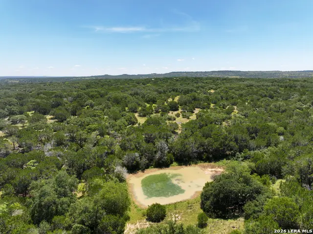 1448 Crabapple Rd, Blanco, TX 78606 - #2