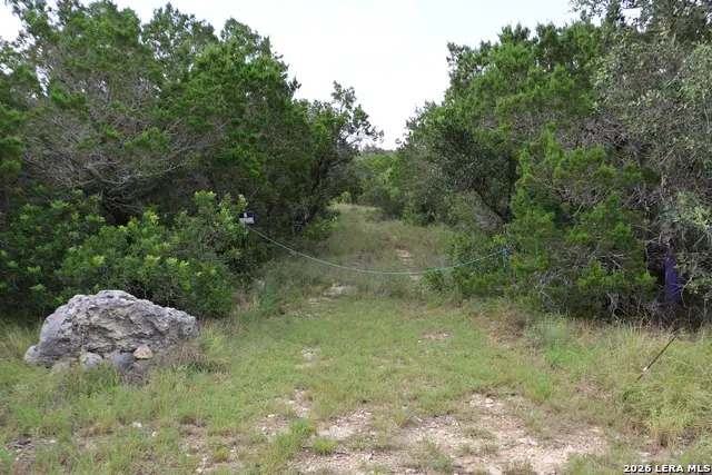 240 County Road 2704, Mico, TX 78056 - #1