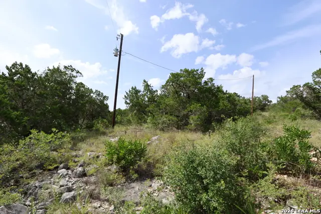 240 County Road 2704, Mico, TX 78056 - #2