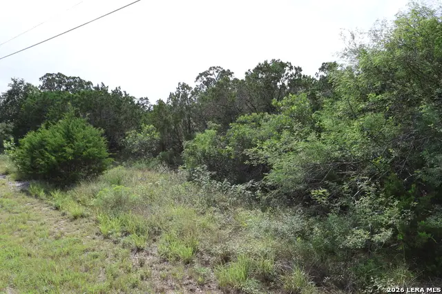 240 County Road 2704, Mico, TX 78056 - #3