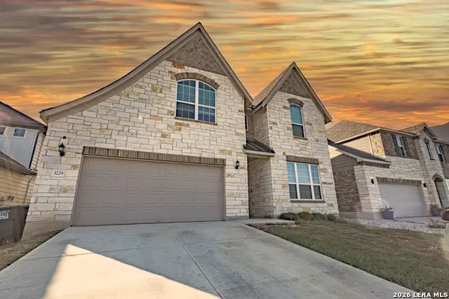 3229 Mountain Mint, New Braunfels, TX 78130 - #2