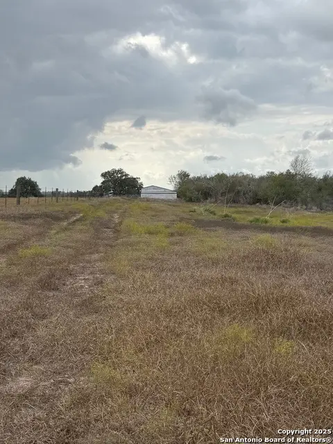 4689 County Road 302, Runge, TX 78151 - #3