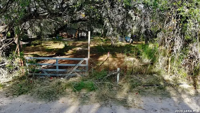 23798 LOT 13 Mathis Rd, Elmendorf, TX 78112 - #3