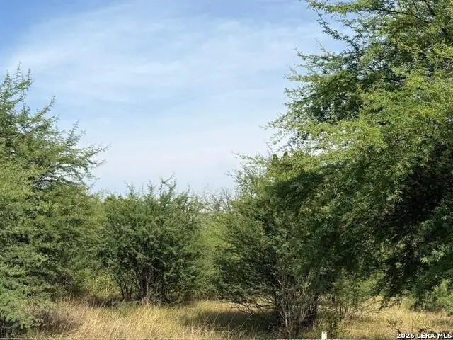 TBD County Road 2472, Hondo, TX 78861 - #3