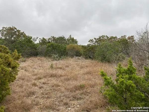 1595 Rim Rock Rd, Camp Wood, TX 78833