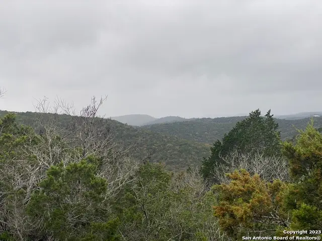 1595 Rim Rock Rd, Camp Wood, TX 78833 - #2