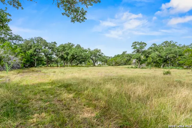 358 Serenity Pass, Spring Branch, TX 78070 - #1
