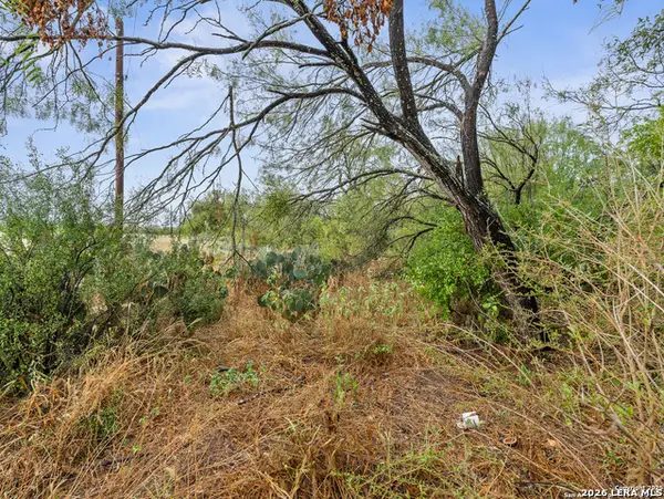 TO BE DETERMINE Jackel, Von Ormy, TX 78073