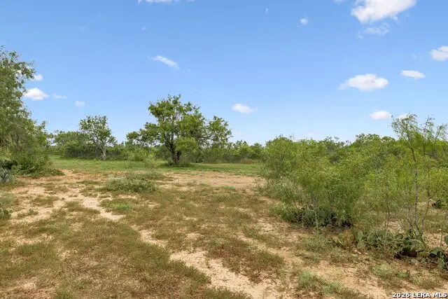 3285 Pittman, Saint Hedwig, TX 78152 - #2