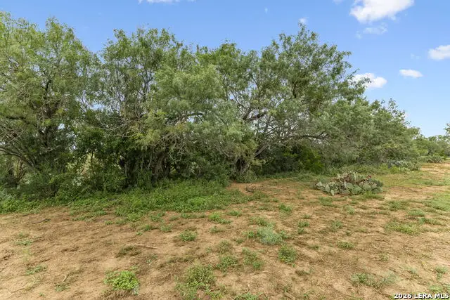 3285 Pittman, Saint Hedwig, TX 78152 - #3