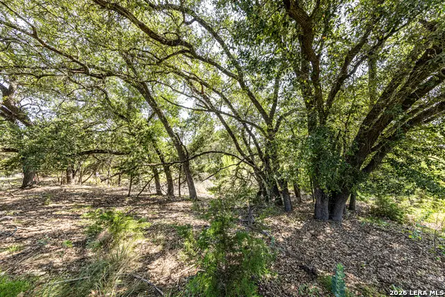 2610 River Way, Spring Branch, TX 78070 - #3