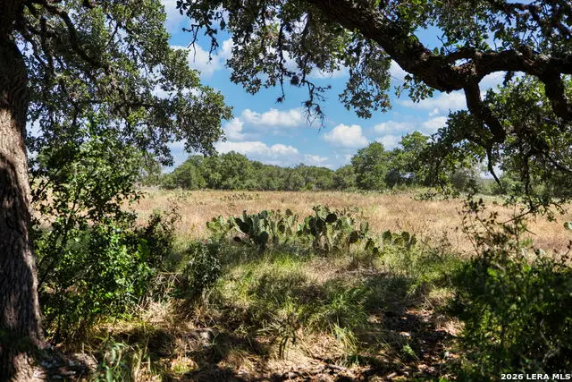 LOT 15 Thornton Ridge Dr, Kerrville, TX 78028 - #1