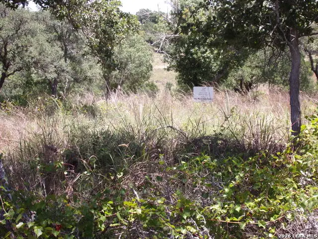 TBD E Twisted Oak Trail, Blanco, TX 78606 - #1