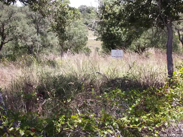 TBD E Twisted Oak Trail, Blanco, TX 78606