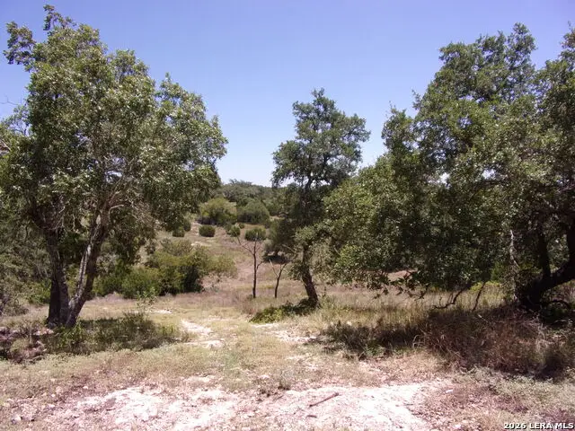 TBD E Twisted Oak Trail, Blanco, TX 78606 - #3