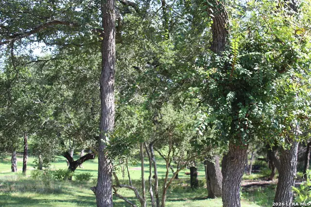 878 Ledgeview Dr., Canyon Lake, TX 78133 - #1
