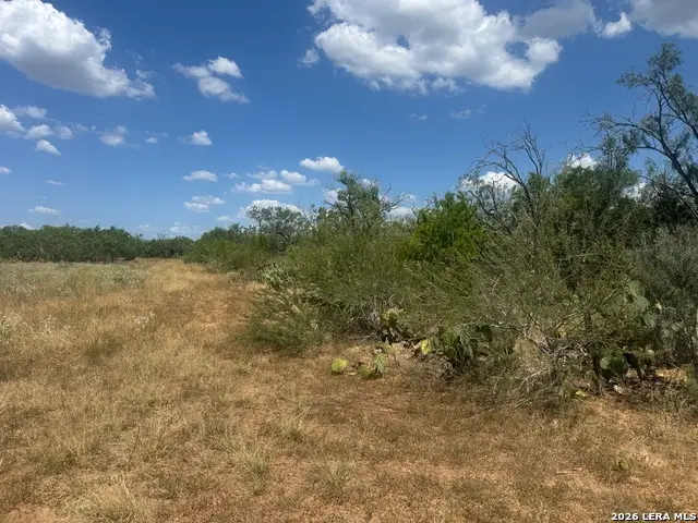 000 Ave. N, Christine, TX 78012 - #1