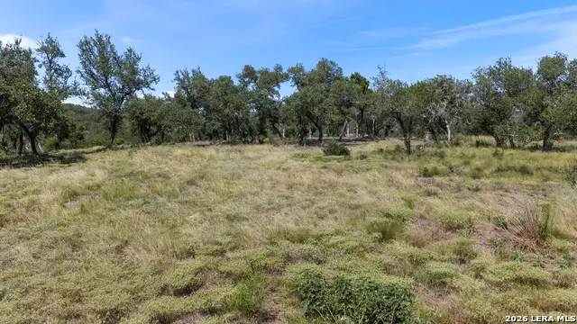 322 Mitchell Dr, Spring Branch, TX 78070 - #2