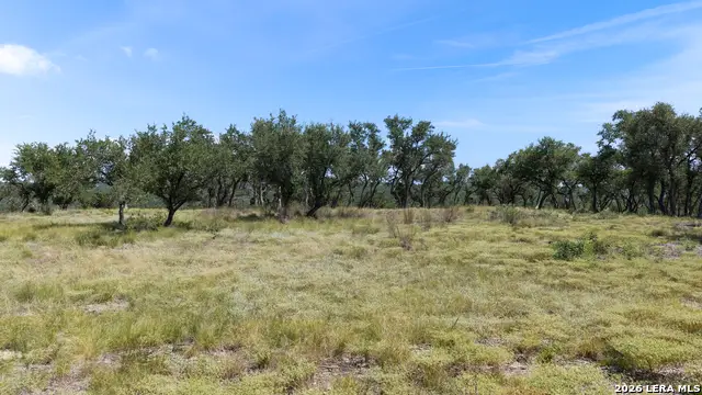322 Mitchell Dr, Spring Branch, TX 78070 - #3