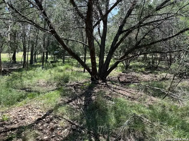 533 Squirrel Bnd, Uvalde, TX 78801 - #3