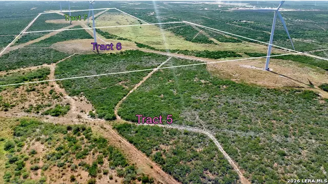 TRACT5 (47.9AC) San Pablo Rd, Bruni, TX 78344 - #3