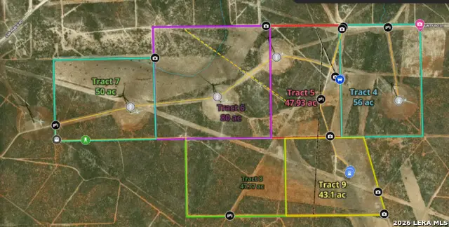 TRACT 8 (47.77) San Pablo Rd, Bruni, TX 78344 - #2