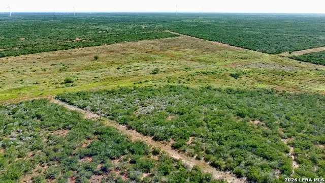 TRACT 8 (47.77) San Pablo Rd, Bruni, TX 78344 - #3