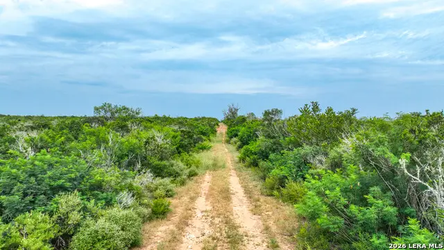 000 Cr 103-easement, San Diego, TX 78384 - #3