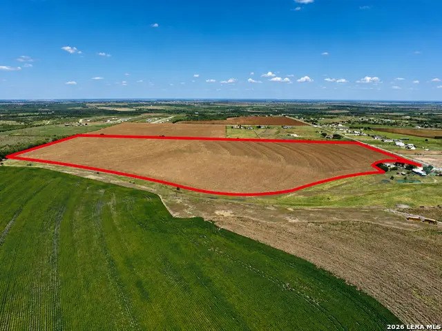 73.86 AC Dreibrodt Rd, San Marcos, TX 78666 - #3