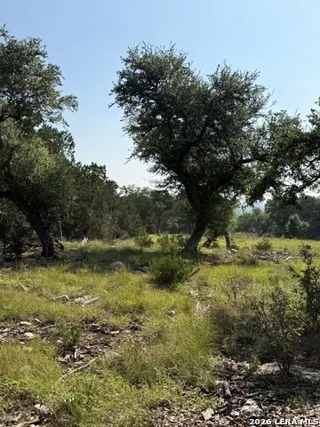 33 Sotol, Boerne, TX 78006 - #2