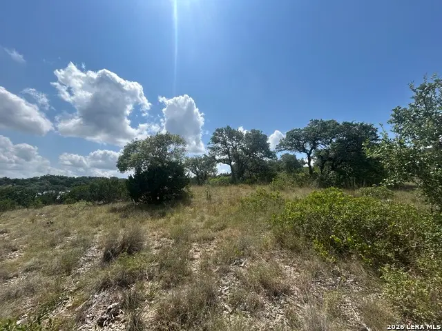23702 Oakshire Rdg, San Antonio, TX 78255 - #3