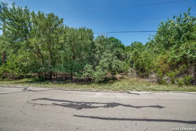 866 Deep Water Dr, Spring Branch, TX 78070 - #2