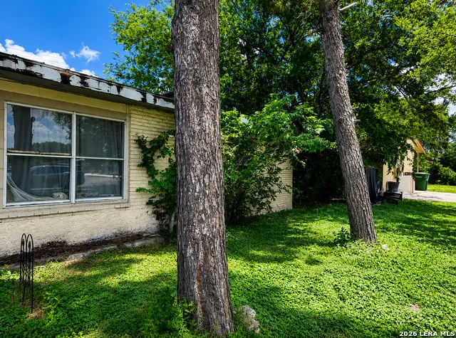 314 Springvale Dr, San Antonio, TX 78227 - #2