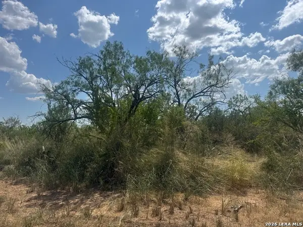 000 Ave. N, Christine, TX 78012