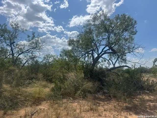 000 Ave. N, Christine, TX 78012 - #3