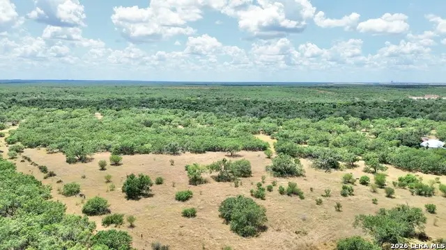 24.52 Acres Campbell Blvd, Campbellton, TX 78008 - #2