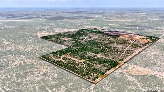 2347 Frontier 5, Freer, TX 78357 - #1