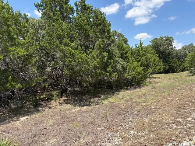 1405 Palomino, Bandera, TX 78003 - #2