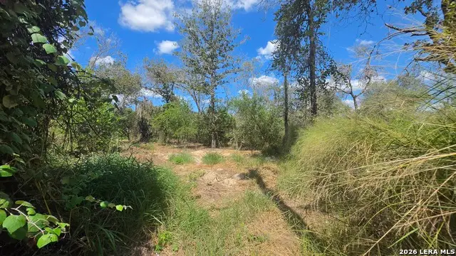 23306 Dragon Rock Rd, Elmendorf, TX 78112 - #3