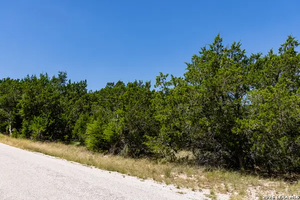 165 Cherry Springs Rd, Hunt, TX 78024