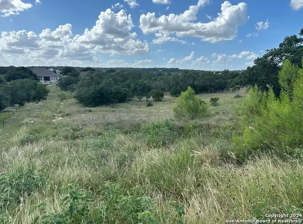 1728 Chardonnay, New Braunfels, TX 78132