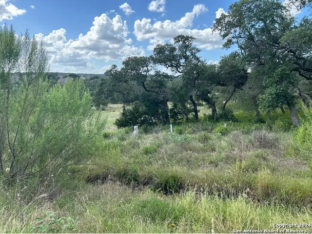 1728 Chardonnay, New Braunfels, TX 78132 - #3
