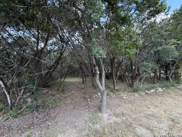 180 Rosenberry, Bulverde, TX 78163 - #2